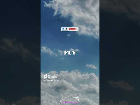 'Fly' - Motivational