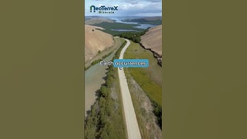 NeoTerrex (TSXV: NTX) Hits Big!