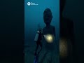 deep water. #ocean #sharks #deepsea #diver#horror#status #ai #scary #statue #movie #film #deepsea