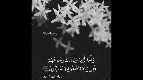 أرح سمعك 🥀لقارئ: عبدالله الموسى 🍃حالات واتس آب