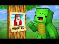 Why Did JJ Disappear in Minecraft (Maizen)