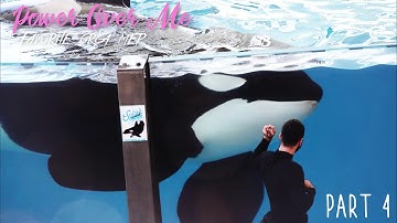 Power over me - Favorite orca mep (3/8)