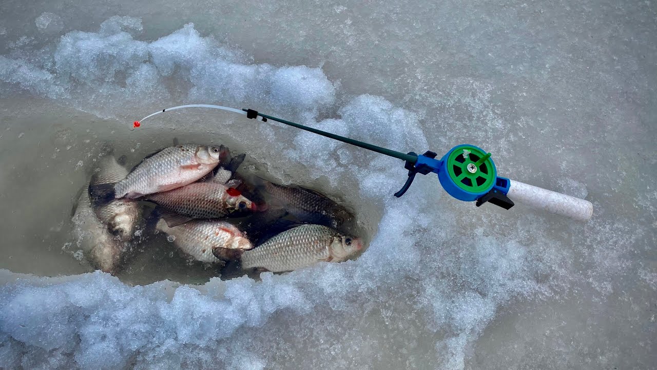 Закрытие зимней рыбалки. Подлёдный карась. Зимняя рыбалка весной. Карась на льду. Ловля карася зимой со льда.