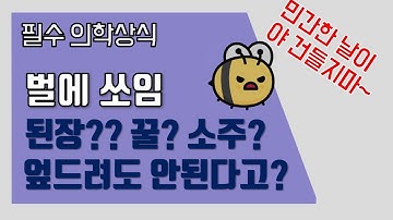 [딩닥터] 벌쏘임 내가 언제 병원에 가야할까요? 필수 의학상식