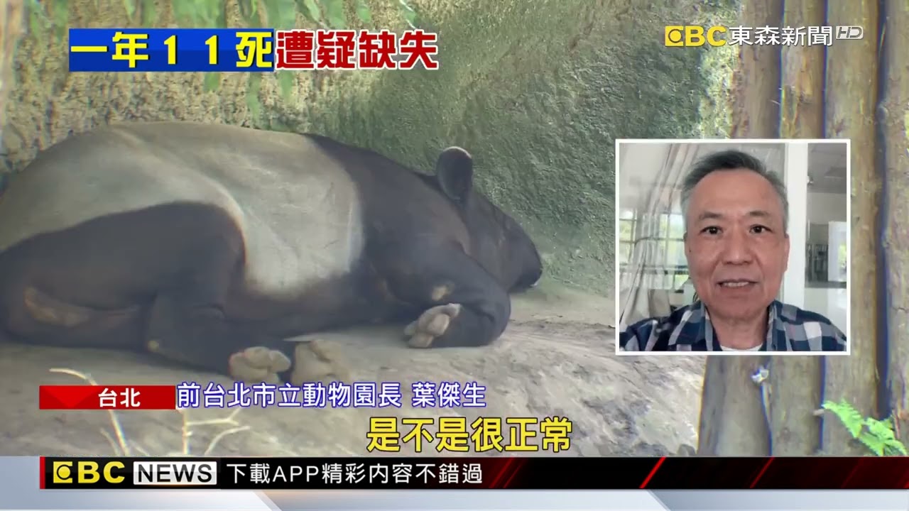 僅存食火雞「東施」過世！ 動物園「年死11動物」引關注@newsebc