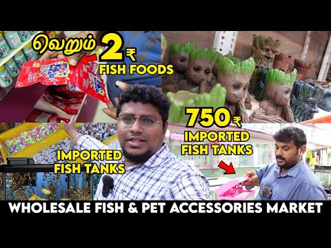 Cheapest Imported Fish Tanks 750₹ முதல் | 2.5₹ Fish Foods & Pet Accessories | Kolathur Fish Market