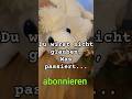 Du wirst nicht glauben was passiert #crazz #funny