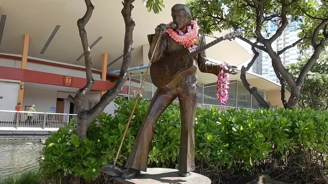 ELVIS ALOHA from HAWAII