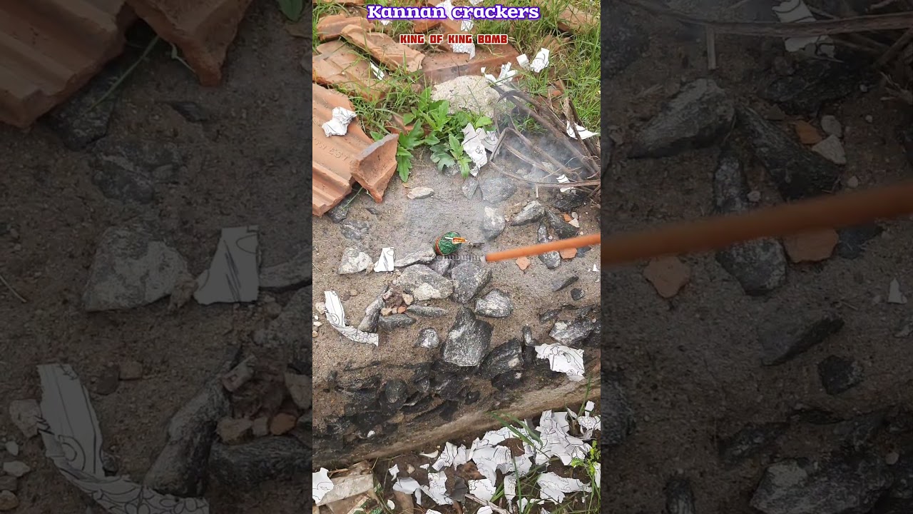 kannan crackers king of king Bomb testing 