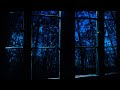 Rainy window ambience  nighttime in the forest with owl sounds 