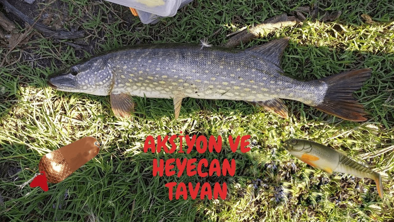 Edirne Meriç Nehri At-Çek İle Efsane Turna Avı