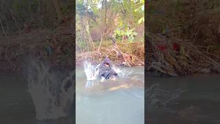 Chikiri Chikiri Song Charan Song