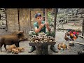 Go into the woods and set traps for wild birds, wild chickens and wild snails, green forest life