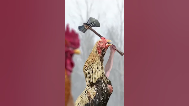 Avengers: Endgame BUT with Chickens