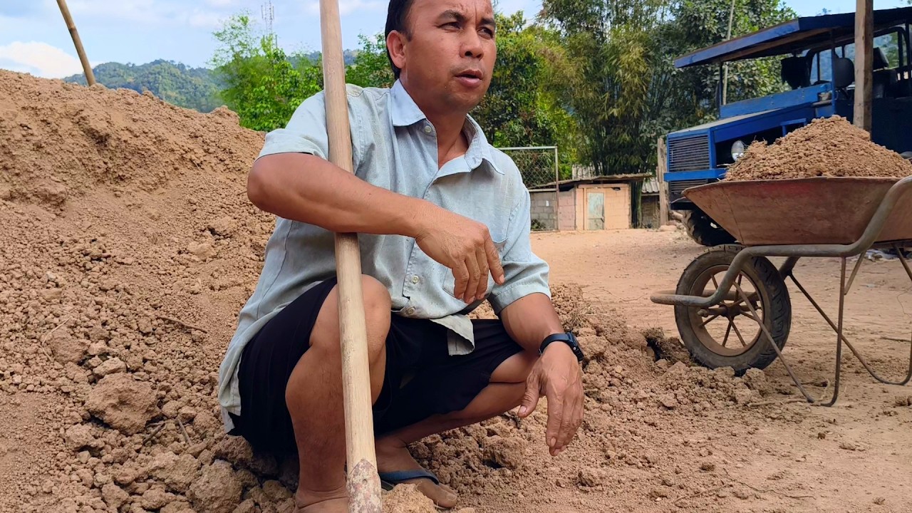 laub av mus meem tsev 20/2/2026