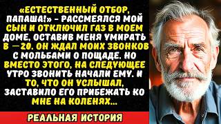 картинка: Сын бросил меня замерзать в −20, отключив отопление. Но один мой звонок изменил всё...