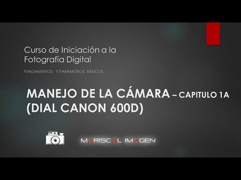 What Canon Camera Ar46