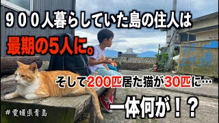 海外でも有名な猫島に行ったら猫の楽園とは程遠い現実があった…