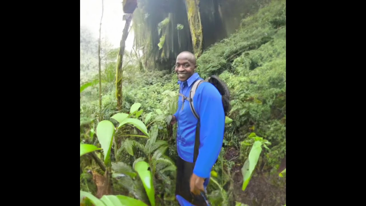 OK meme - AI Zoom - OutPainting method - Dall-E