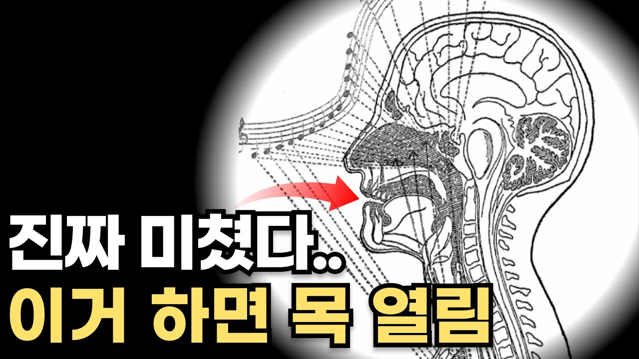 목으로 노래 안하는법 feat.공명