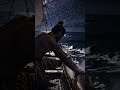 Humans Crossed Entire Oceans Using Only The Stars