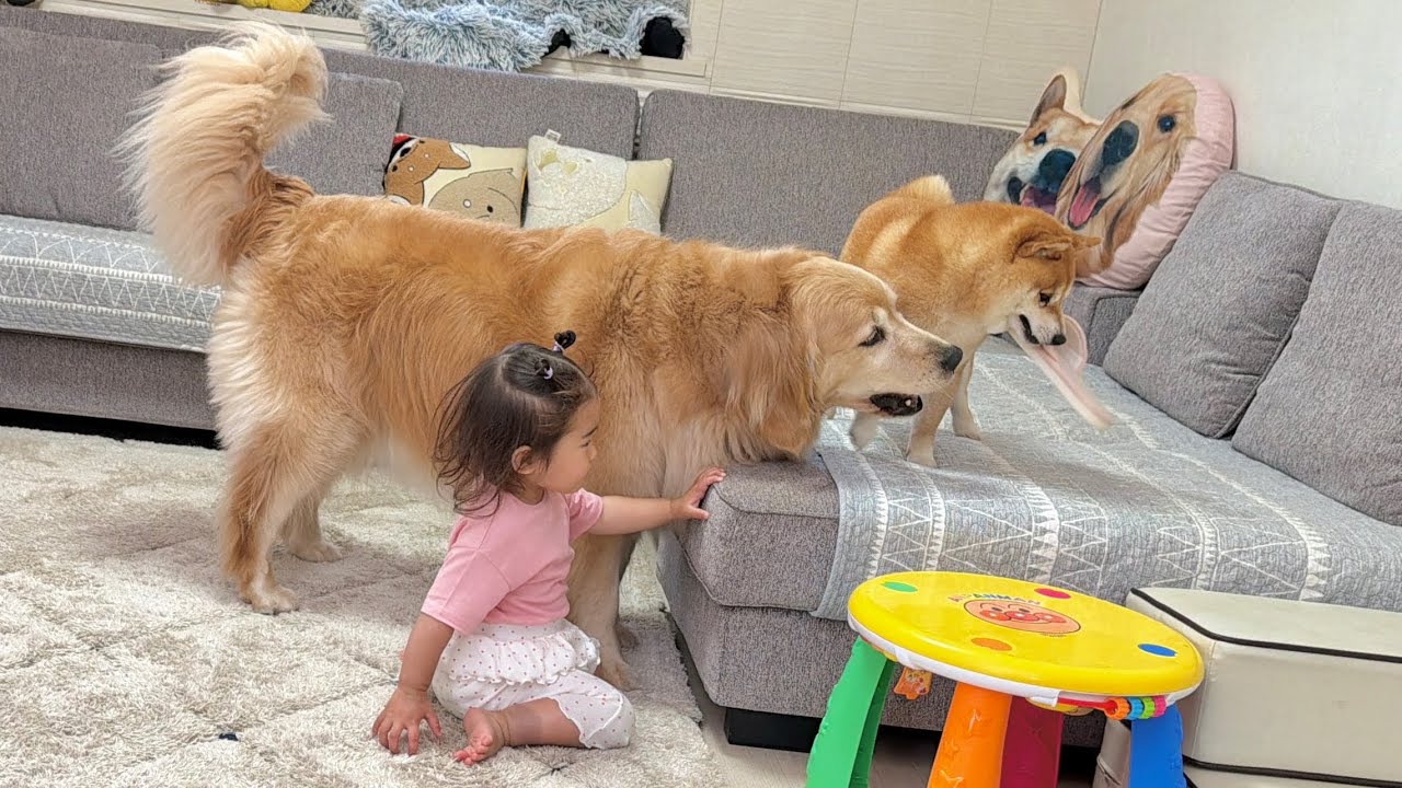 2歳児を気にかけながらもスリッパを奪い返してくれる正義感溢れる