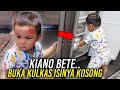 KIANO CEK KULKAS SENDIRI ‼️ MAKANAN KIANO MANA YA ❓