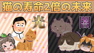 【ゆっくり解説】猫の寿命が2倍に！？腎臓病完治で長生きする未来の光と闇