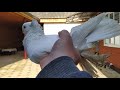 Узбекские бойные голуби Чечни 56