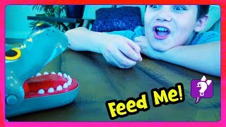 Tiny Surprise Hobbypig Mystery Toy Can By Hobbymomtv