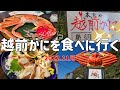 【越前がに専門店/カニ八】横綱！越前ガニの値段はいくら？？一番美味しい調理法は〇〇だった