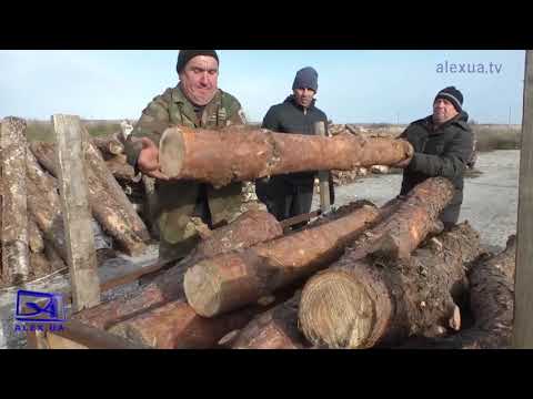 Телеканал ALEX UA - Новости: Запорізькі села почали отримувати дрова для опалення за держпрограмою