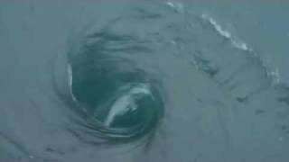 frog in a whirlpool