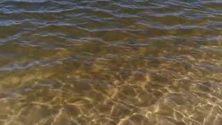 Lagoa da Ervedeira - Leiria PT