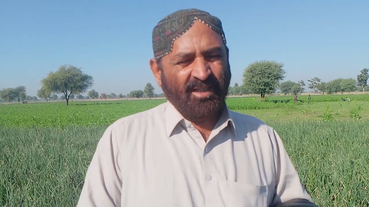 Agriculture with Rashid brohi/