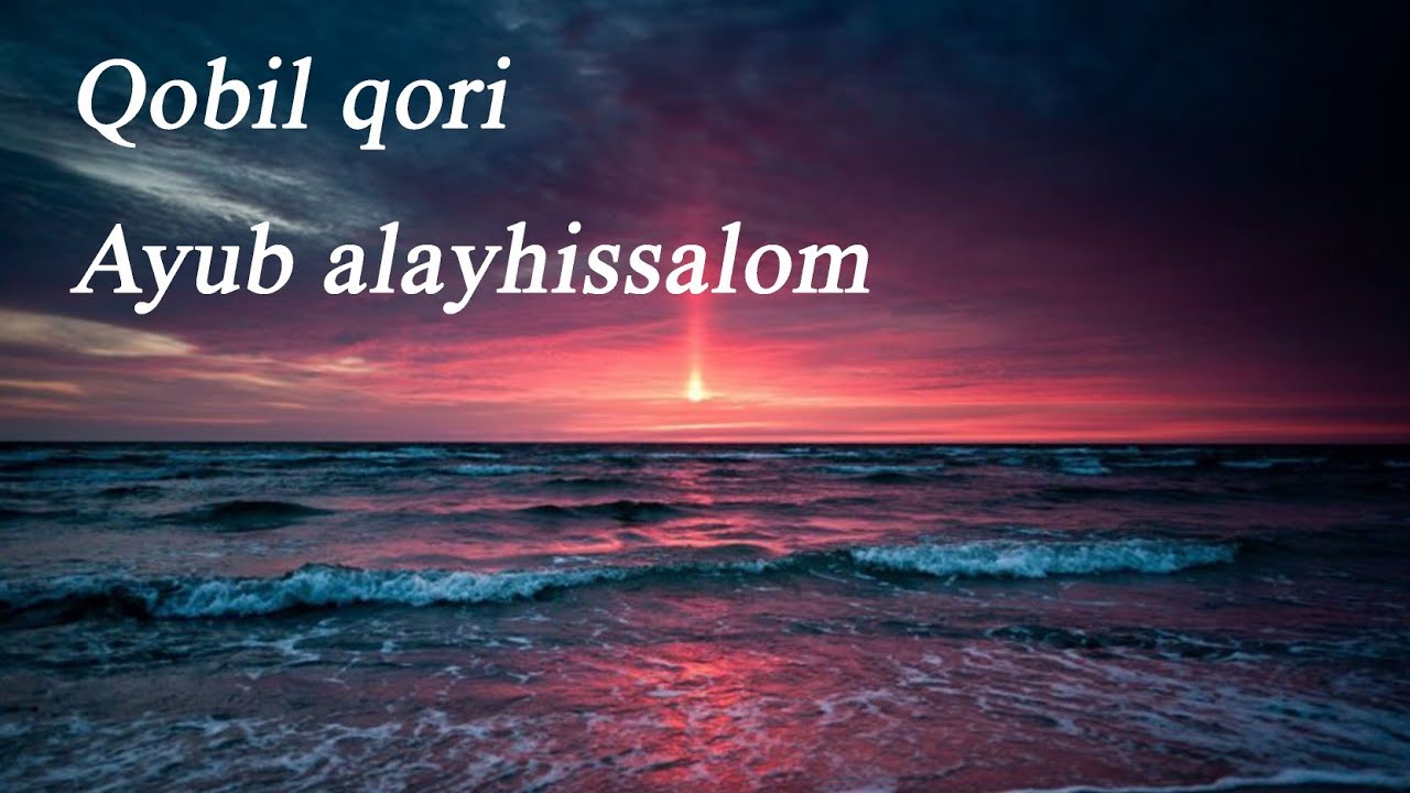 Qobil qori   Ayub alayhissalom