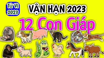Vận Hạn của 12 Con Giáp trong năm 2023 chi tiết - Vận Hạn @Luangiai12congiap