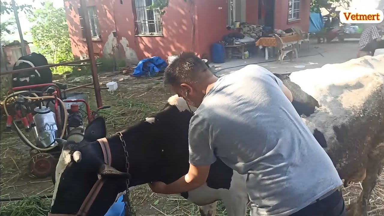 RPT OLMASINA RAMAK KALMIŞ!  BİRAZ GECİKME ÖLÜMCÜL OLABİLİR!