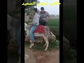 اول مره اركب علي حمار لاتنسو الاشتراك ف القناه