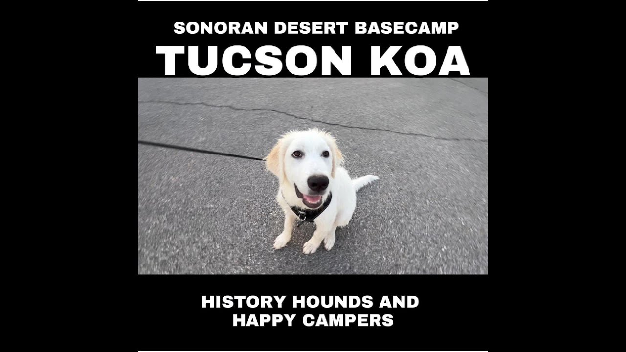 Tucson KOA Resort Review: Luxury Camping at the Gateway to Saguaro & Old West History