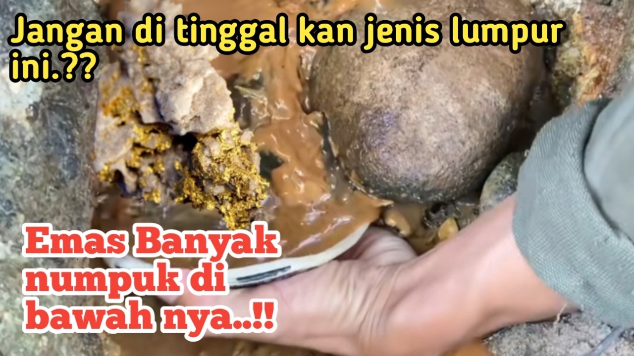 Ciri-ciri tanah yang mengandung emas ||tanah pasir dan lumpur yang banyak emas nya.