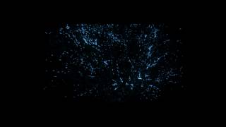Thinking Particles test Net Worth