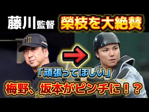 【榮枝の評価が爆増】 藤川監督が榮枝を大絶賛！ 「次も頑張ってほしい。また送り出したい」 梅野はピンチか！？