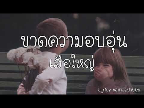 ขาดความอบอุ่น -​ เสือใหญ่ | เนื้อเพลง | Lyrics ขอมาจัดปายยย
