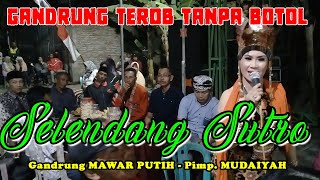 SELENDANG SUTRO || Gandrung MAWAR PUTIH || live Pendarungan