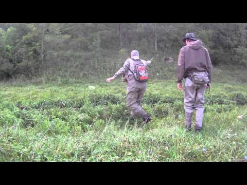 Driftless 2012