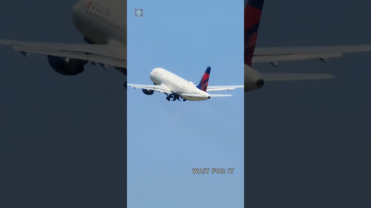 Original Title & Thumbnail
