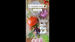 6 vegetable seeds from kitchen | किचन में मौजूद सब्जियों के बीज |#ashasgardenstory#shorts