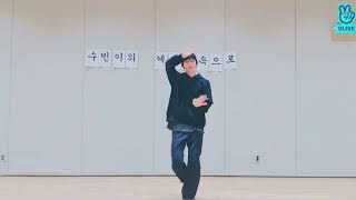 Soobin Dancing Dolphin 2022