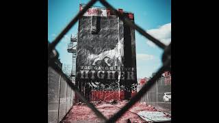Wolfgang Gartner - Higher (Official Audio) @ALTVISIONRecords